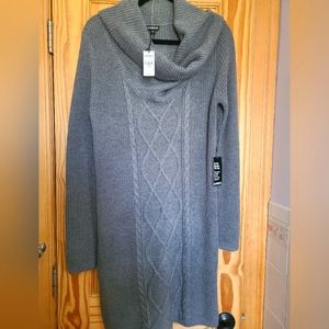 Express Sweater Dress